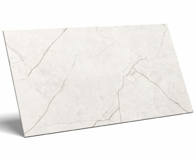 PŁYTKI KAMIENIOPOODBNE NATURAL 60X120 POŁYSK