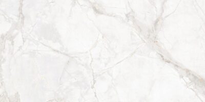 PŁYTKI PODŁOGOWE JASNE SZARE KAMIENNE BŁYSZCZĄCE   GRESOWE 60X120  GRES ATHENA  CARVING  LAPATTO