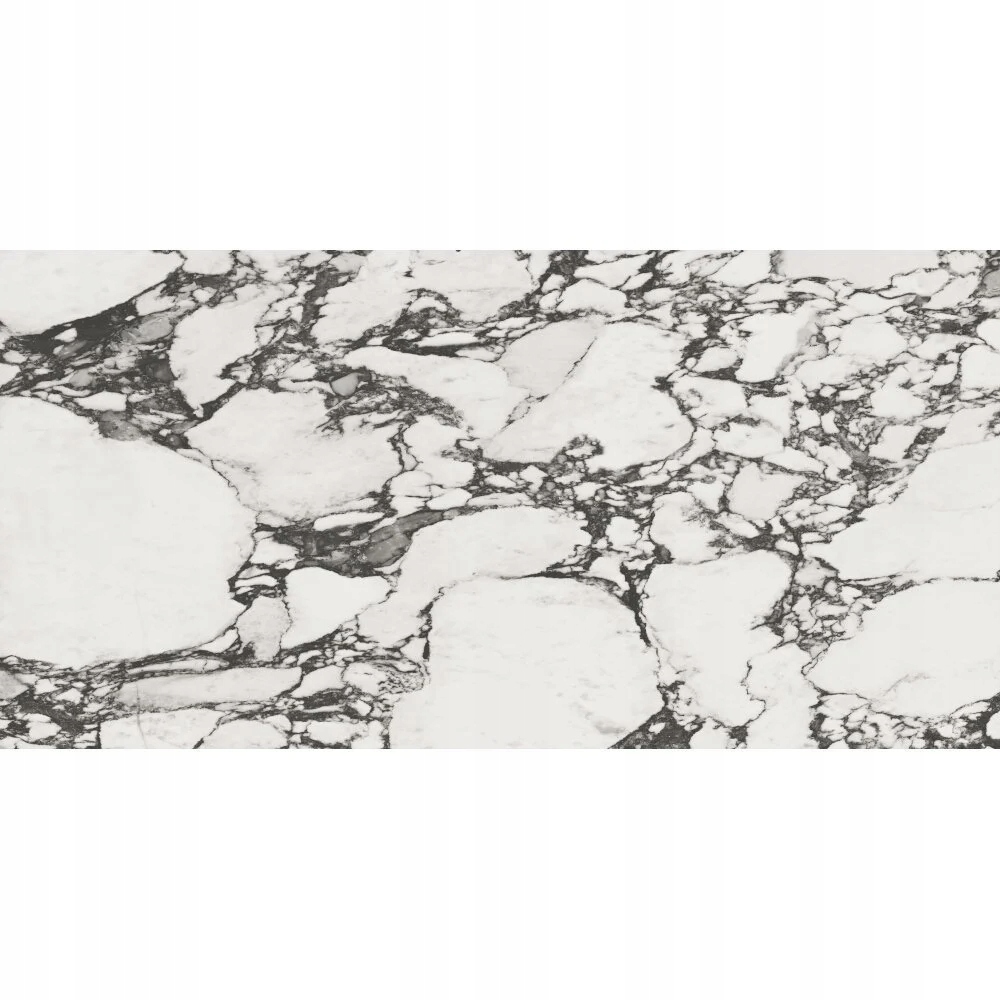 Sebastian Podgórski 